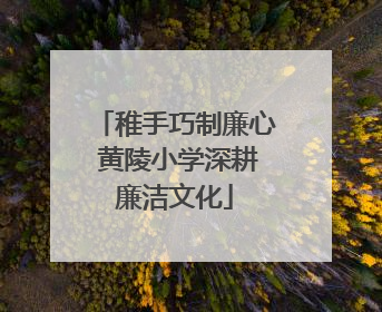 稚手巧制廉心 黄陵小学深耕廉洁文化