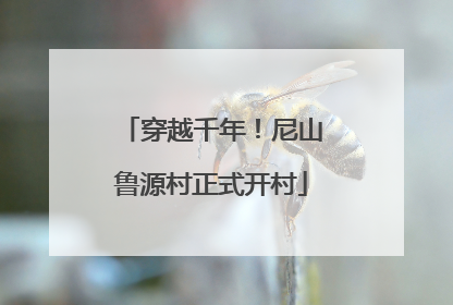 穿越千年！尼山鲁源村正式开村