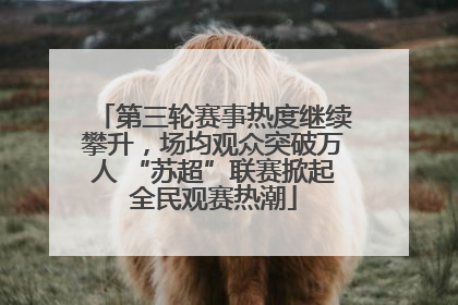 第三轮赛事热度继续攀升，场均观众突破万人 “苏超”联赛掀起全民观赛热潮