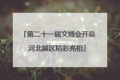 第二十一届文博会开幕 河北展区精彩亮相