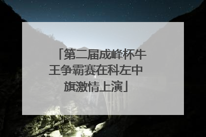 第二届成峰杯牛王争霸赛在科左中旗激情上演
