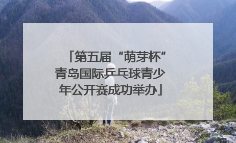 第五届“萌芽杯”青岛国际乒乓球青少年公开赛成功举办