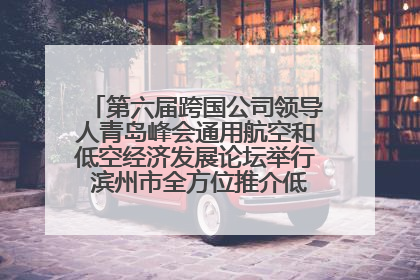 第六届跨国公司领导人青岛峰会通用航空和低空经济发展论坛举行 滨州市全方位推介低空经济发展优势
