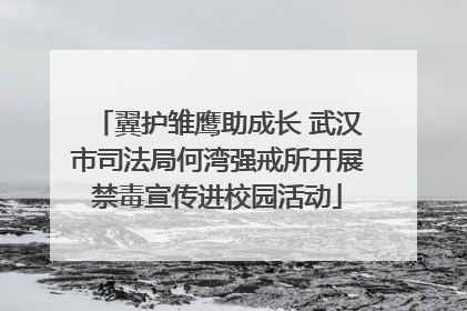翼护雏鹰助成长 武汉市司法局何湾强戒所开展禁毒宣传进校园活动