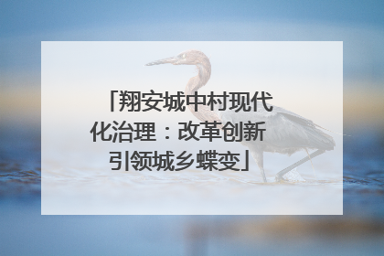 翔安城中村现代化治理：改革创新引领城乡蝶变