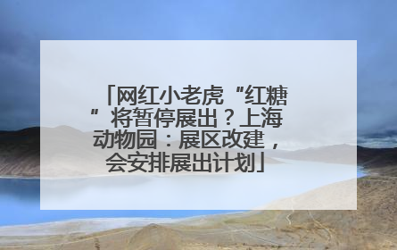 网红小老虎“红糖”将暂停展出？上海动物园：展区改建，会安排展出计划