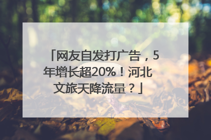 网友自发打广告，5年增长超20%！河北文旅天降流量？