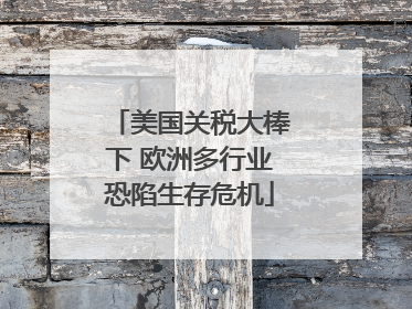 美国关税大棒下 欧洲多行业恐陷生存危机
