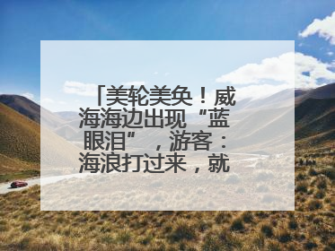 美轮美奂！威海海边出现“蓝眼泪”，游客：海浪打过来，就像星河一样