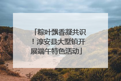 粽叶飘香凝共识！淳安县大墅镇开展端午特色活动