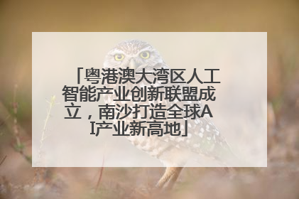 粤港澳大湾区人工智能产业创新联盟成立，南沙打造全球AI产业新高地