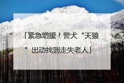 紧急增援！警犬“天狼”出动找到走失老人