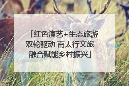 红色演艺+生态旅游双轮驱动 南太行文旅融合赋能乡村振兴