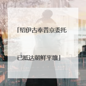 绍伊古奉普京委托已抵达朝鲜平壤