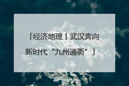 经济地理丨武汉奔向新时代“九州通衢”