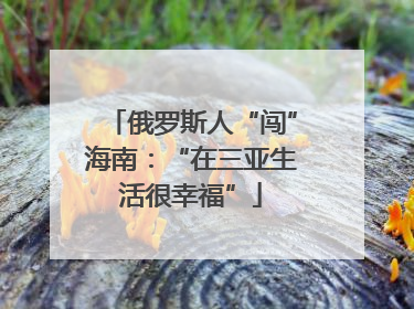 俄罗斯人“闯”海南：“在三亚生活很幸福”