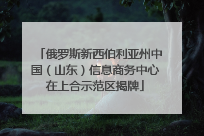 俄罗斯新西伯利亚州中国（山东）信息商务中心在上合示范区揭牌