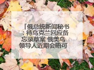 俄总统新闻秘书：待乌克兰回应备忘录草案 俄美乌领导人近期会晤可能性小