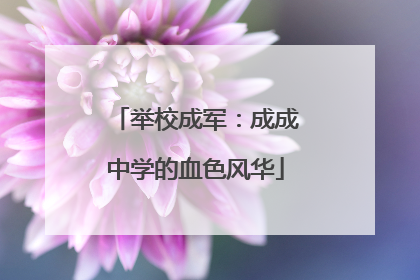 举校成军：成成中学的血色风华
