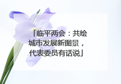临平两会：共绘城市发展新图景，代表委员有话说