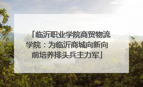 临沂职业学院商贸物流学院：为临沂商城向新向前培养排头兵主力军