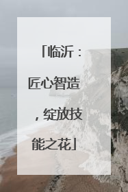 临沂：匠心智造，绽放技能之花