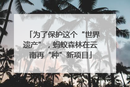 为了保护这个“世界遗产”，蚂蚁森林在云南再“种”新项目