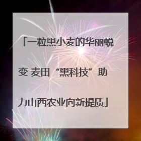 一粒黑小麦的华丽蜕变 麦田“黑科技”助力山西农业向新提质