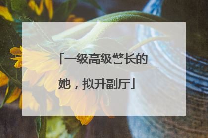 一级高级警长的她，拟升副厅