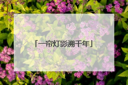 一帘灯影溯千年