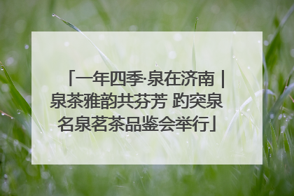 一年四季·泉在济南｜泉茶雅韵共芬芳 趵突泉名泉茗茶品鉴会举行