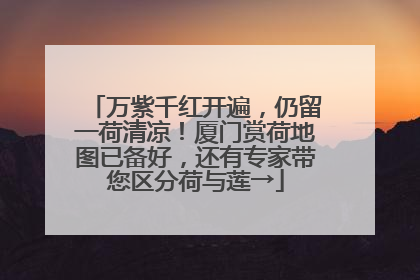 万紫千红开遍，仍留一荷清凉！厦门赏荷地图已备好，还有专家带您区分荷与莲→