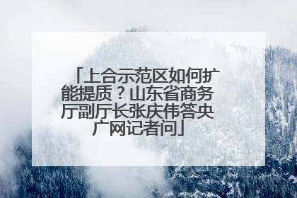上合示范区如何扩能提质？山东省商务厅副厅长张庆伟答央广网记者问