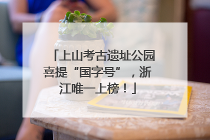 上山考古遗址公园喜提“国字号”，浙江唯一上榜！