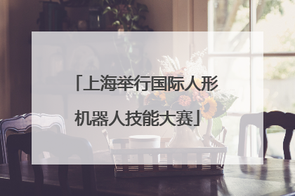 上海举行国际人形机器人技能大赛