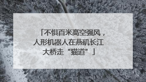 不惧百米高空强风，人形机器人在燕矶长江大桥走“猫道”