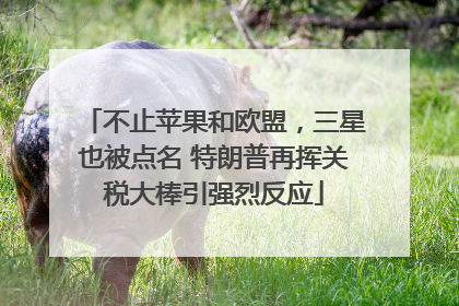不止苹果和欧盟，三星也被点名 特朗普再挥关税大棒引强烈反应