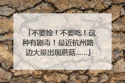 不要捡！不要吃！这种有剧毒！最近杭州路边大量出现蘑菇……