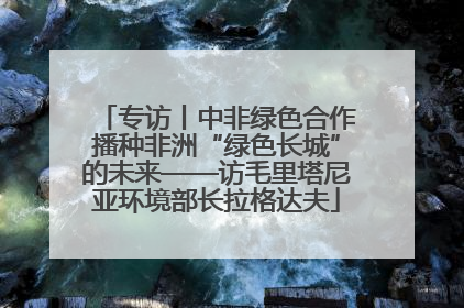 专访丨中非绿色合作播种非洲“绿色长城”的未来——访毛里塔尼亚环境部长拉格达夫