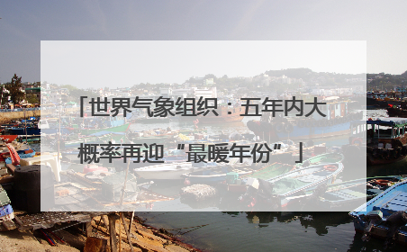 世界气象组织：五年内大概率再迎“最暖年份”