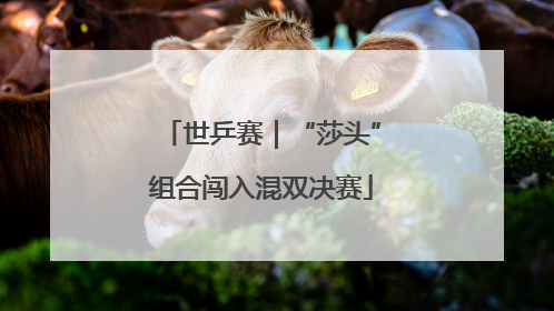 世乒赛｜“莎头”组合闯入混双决赛