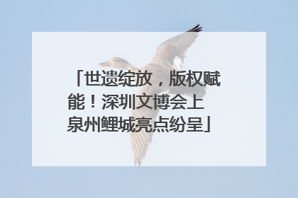 世遗绽放，版权赋能！深圳文博会上 泉州鲤城亮点纷呈