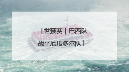 世预赛｜巴西队战平厄瓜多尔队