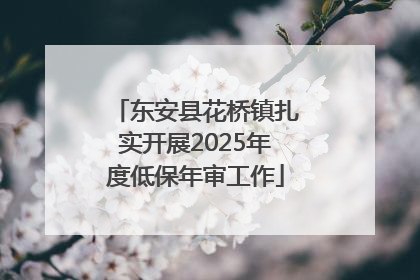 东安县花桥镇扎实开展2025年度低保年审工作