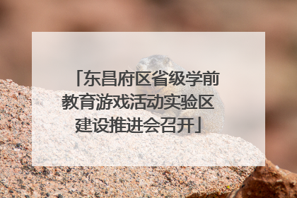 东昌府区省级学前教育游戏活动实验区建设推进会召开