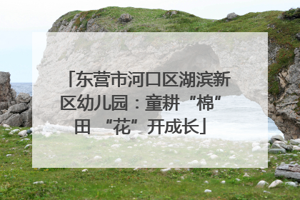 东营市河口区湖滨新区幼儿园：童耕“棉”田 “花”开成长