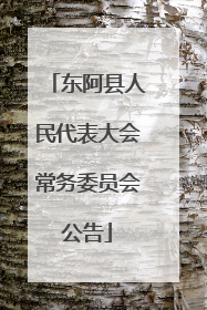 东阿县人民代表大会常务委员会公告