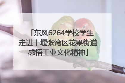 东风6264学校学生走进十堰张湾区花果街道感悟工业文化精神