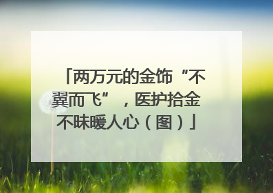 两万元的金饰“不翼而飞”，医护拾金不昧暖人心（图）