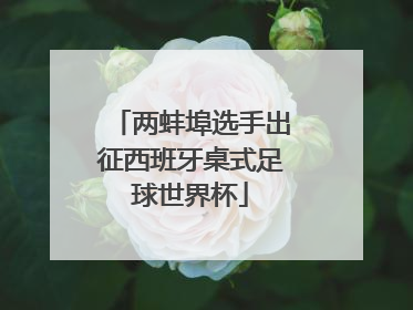两蚌埠选手出征西班牙桌式足球世界杯